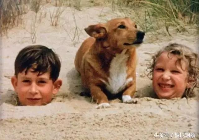 希拉里和本拉登合影,希拉里本拉登