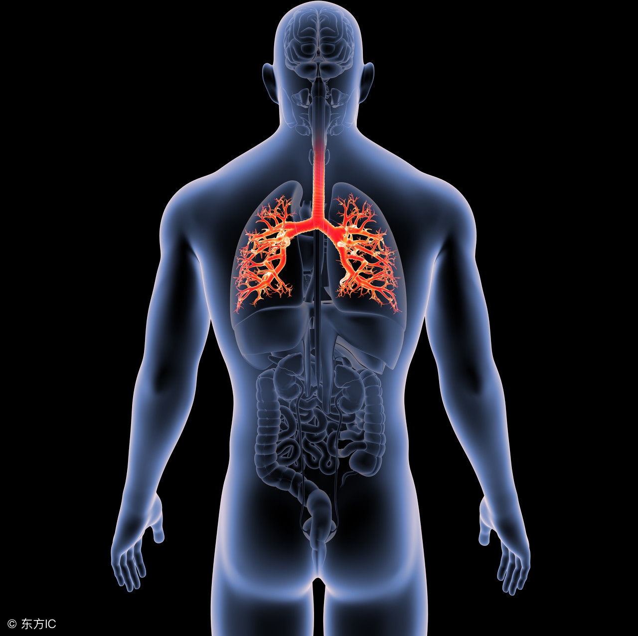 肺癌中晚期治疗，中医食疗偏方很有发言权