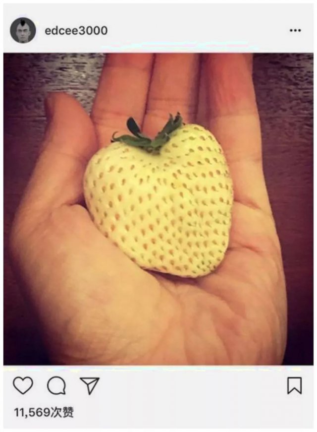 陈冠希吃的苹果,陈冠希吃的白草莓什么品种