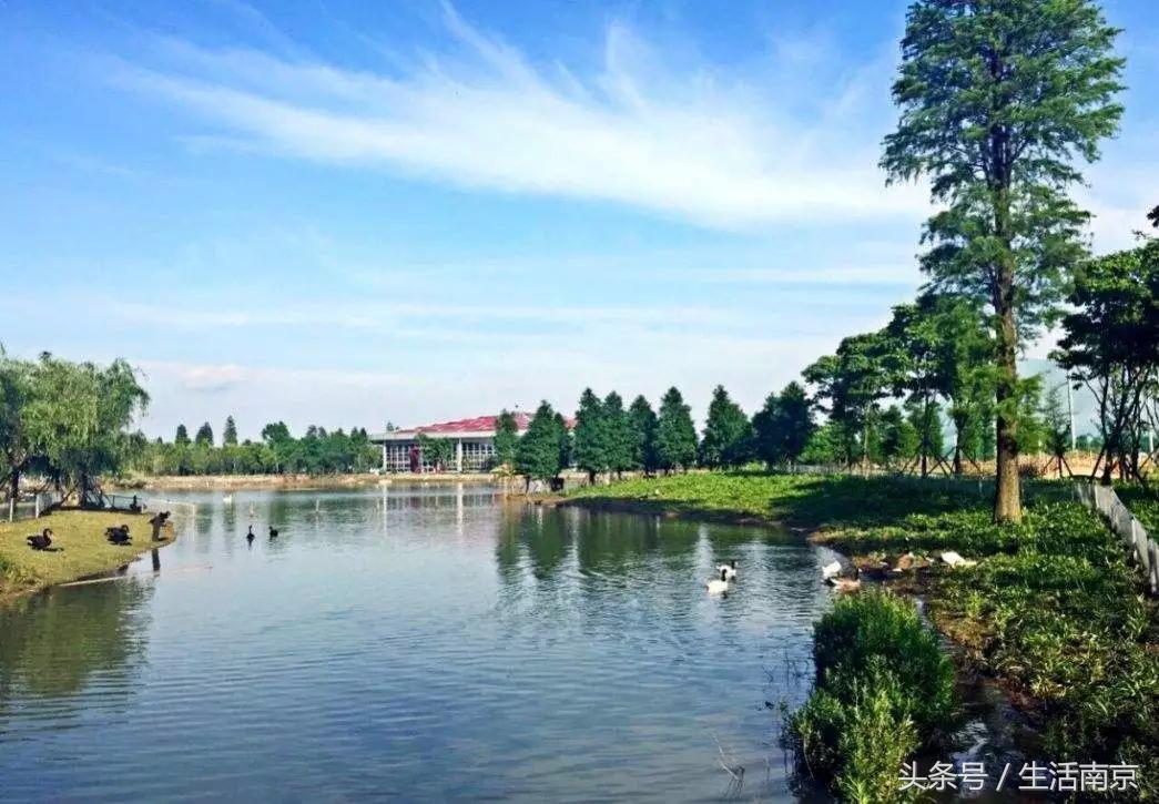 南京高淳区怎么样,南京高淳出的明星