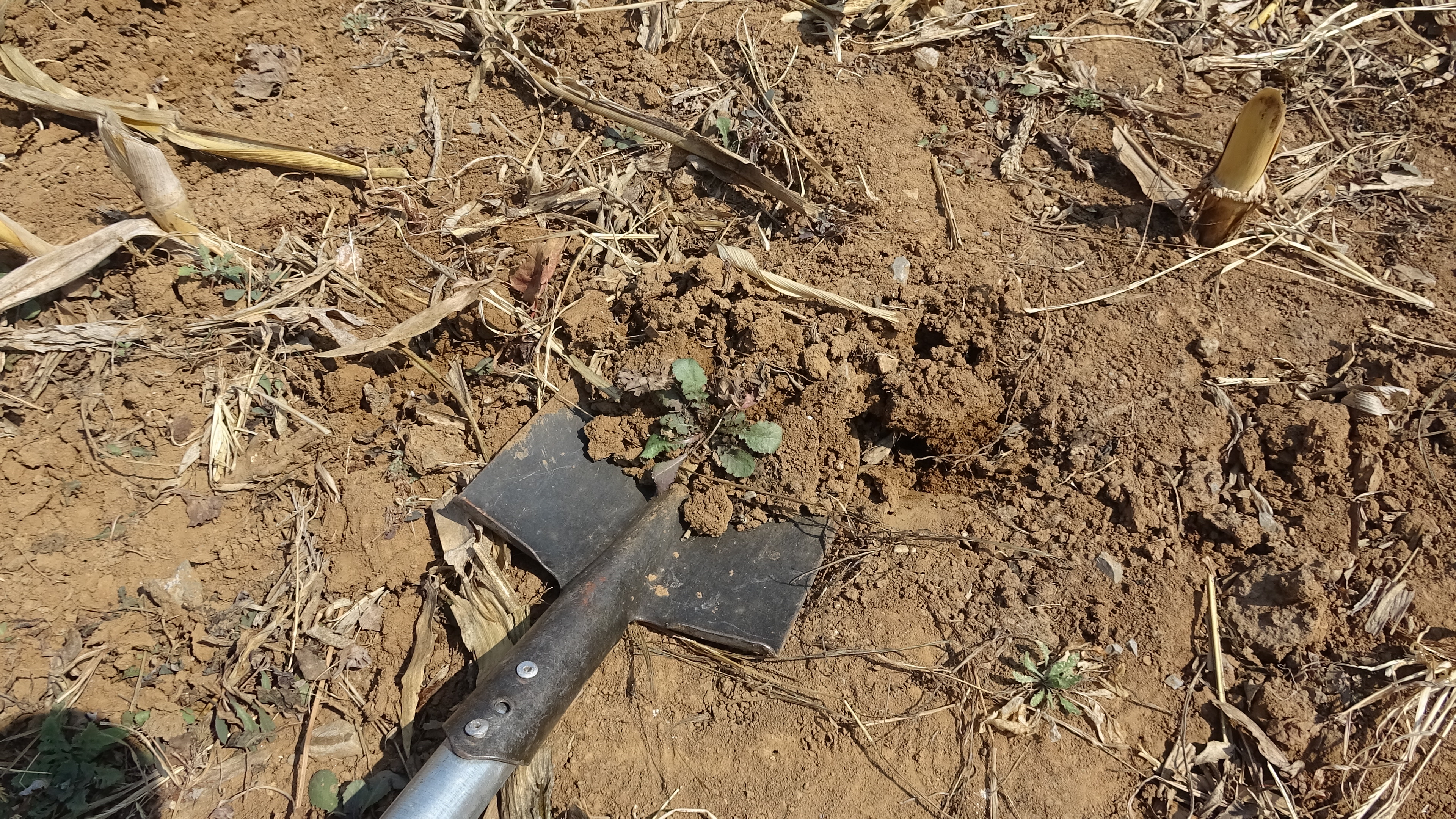 我的家在桃花山,我的家在桃花山全曲