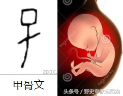 十二生肖为什么老鼠排在第一,老鼠为啥是十二生肖之首