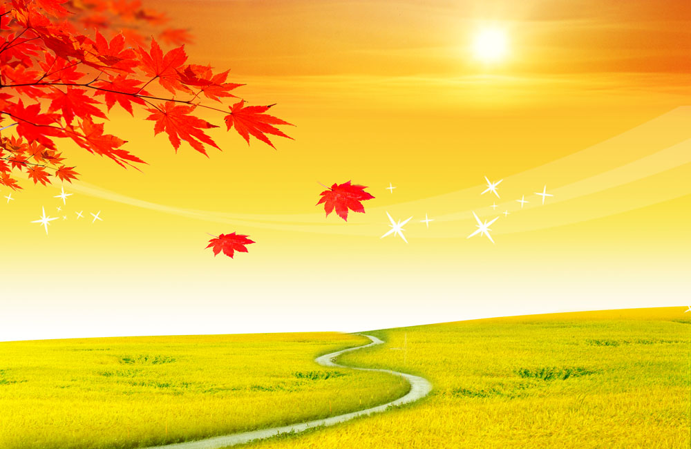 《清平乐·金风细细》全诗赏析,金风细细朗诵