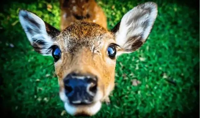 美爆了！下周起，全苏州人都将涌入这片花海...（内附白马涧中奖名单）