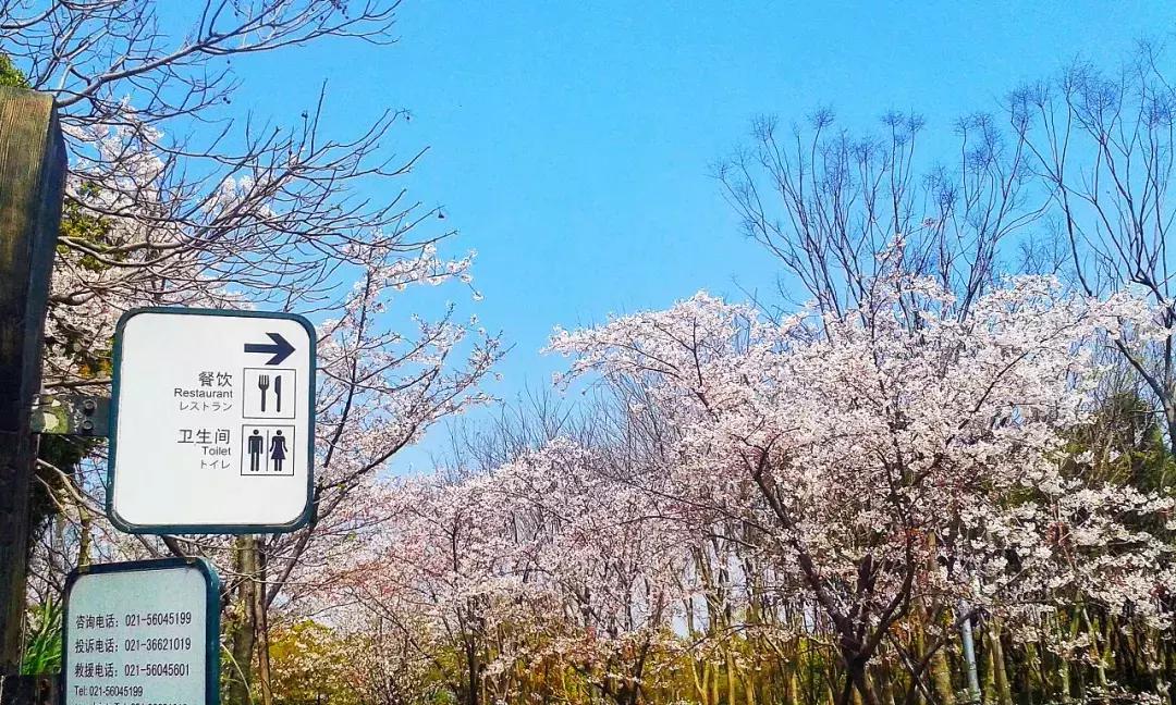 收藏！2018上海地铁最新首末班车时间表、如厕指南、游玩大全！