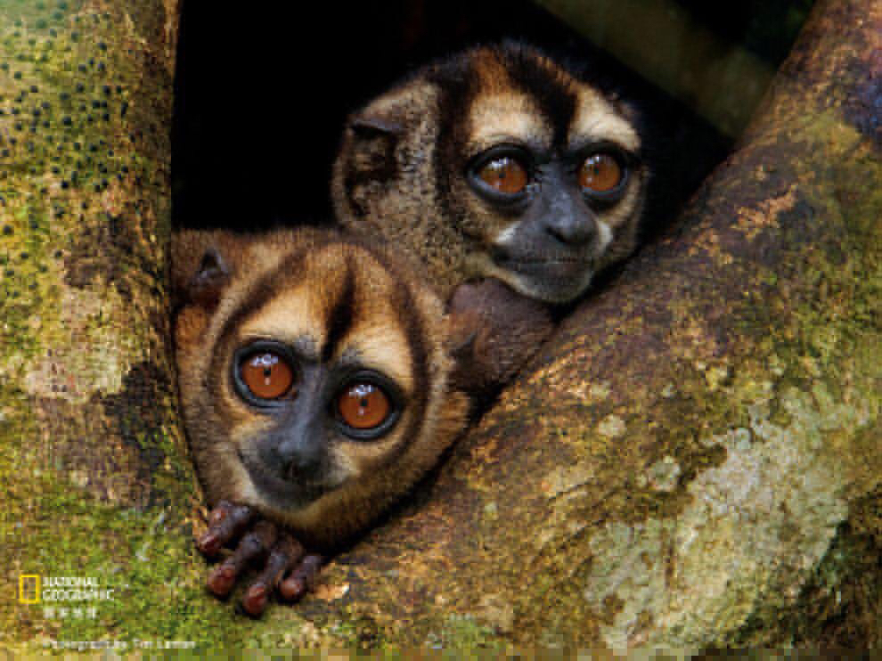 2022国家地理摄影作品照片,摄影国家地理精选20190211