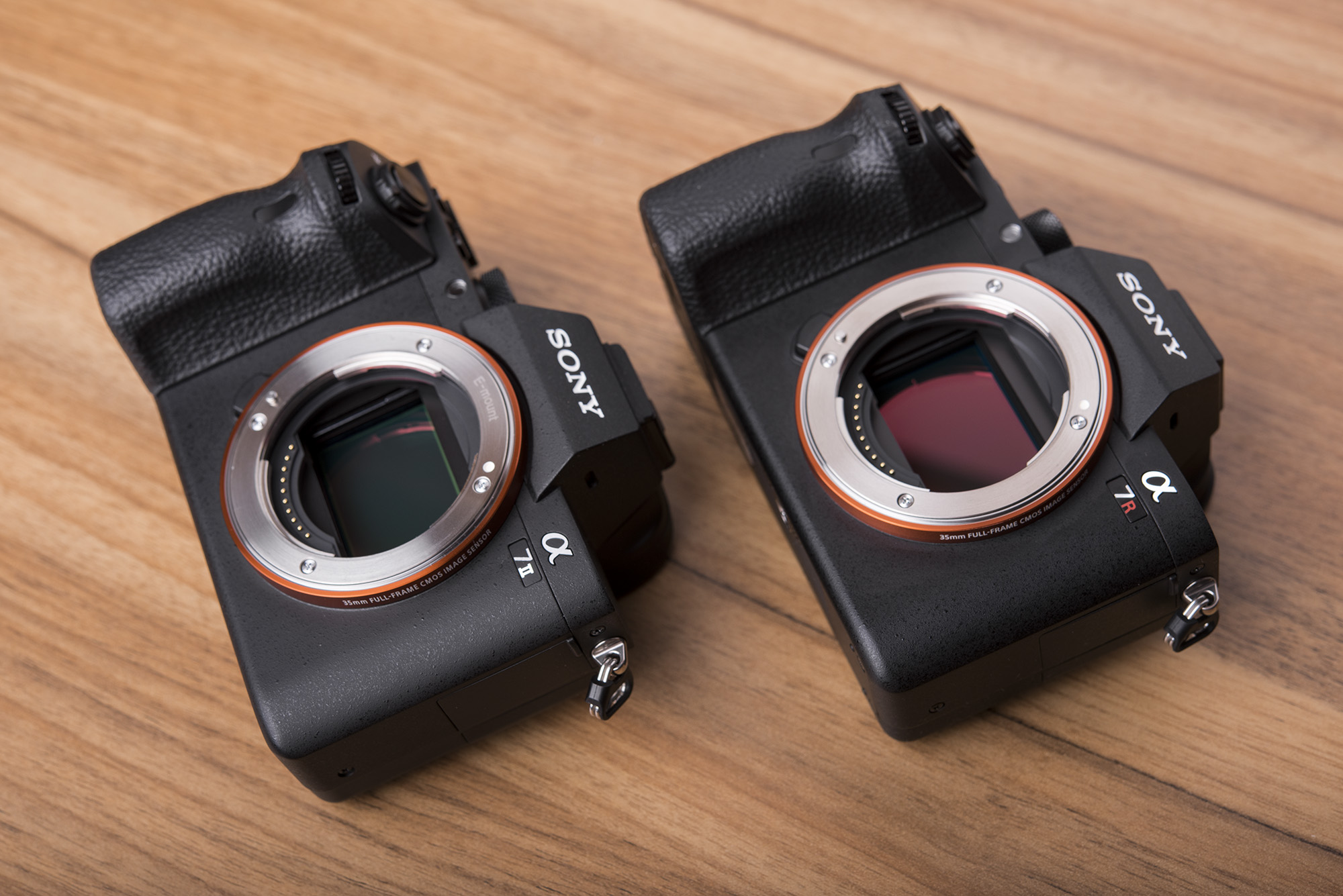 单反相机尼康D780,单反照相机尼康d810