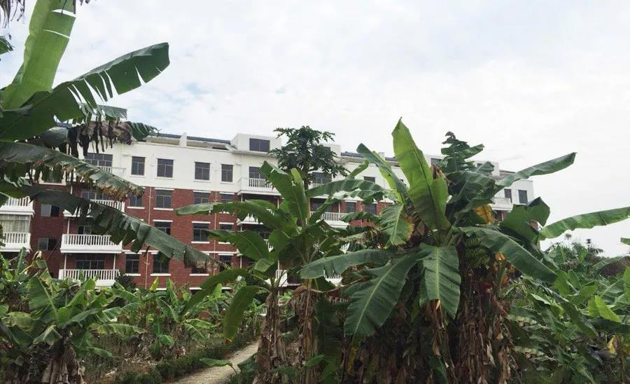 海南8千元左右的房源,海南房源最新价格