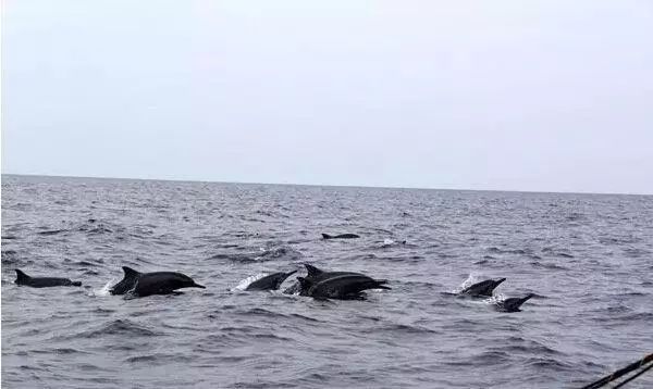 宿雾旅游游记,宿雾在菲律宾哪里