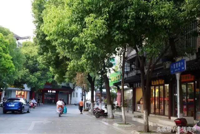 春天南京有哪些美景的地方,南京春天最值得去的地方