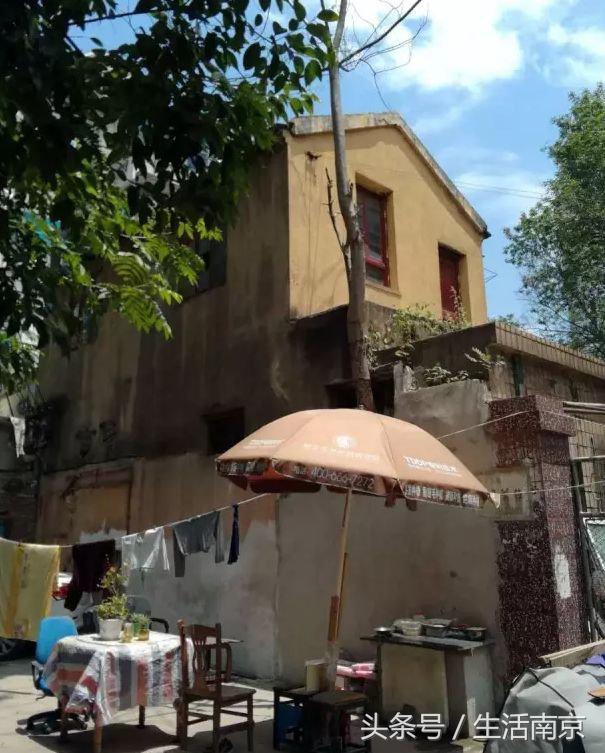 春天南京有哪些美景的地方,南京春天最值得去的地方