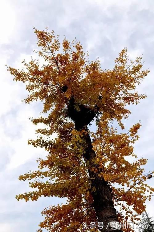 郑州人真正的后花园,郑州人少环境好的地方