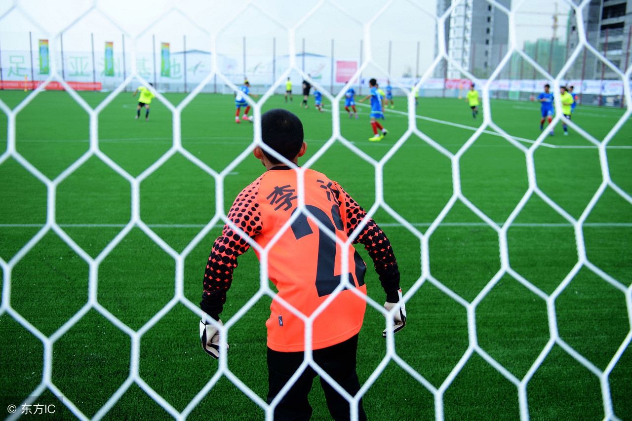 如果中国足球世界杯进了八强,如果中国足球能入围世界杯