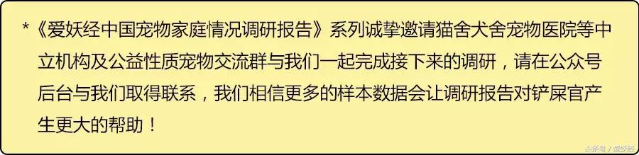 爱妖经大数据|中国吉娃娃犬家庭主粮调研报告