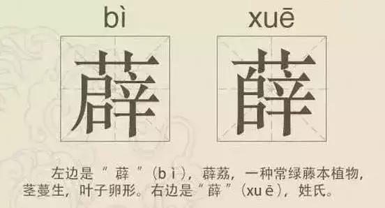 看到这些汉字,我感觉自己的语文白学了!