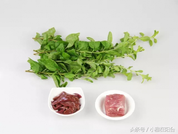 枸杞盆栽的正确栽培方法,枸杞几月插枝能活