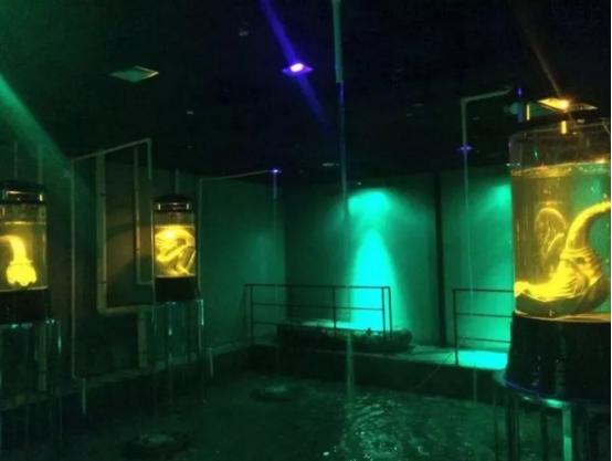 武汉市的轰趴馆,武汉威廉古堡别墅轰趴馆