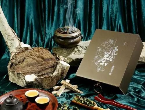 向春天出发跟着我走吧,向春天出发朗读