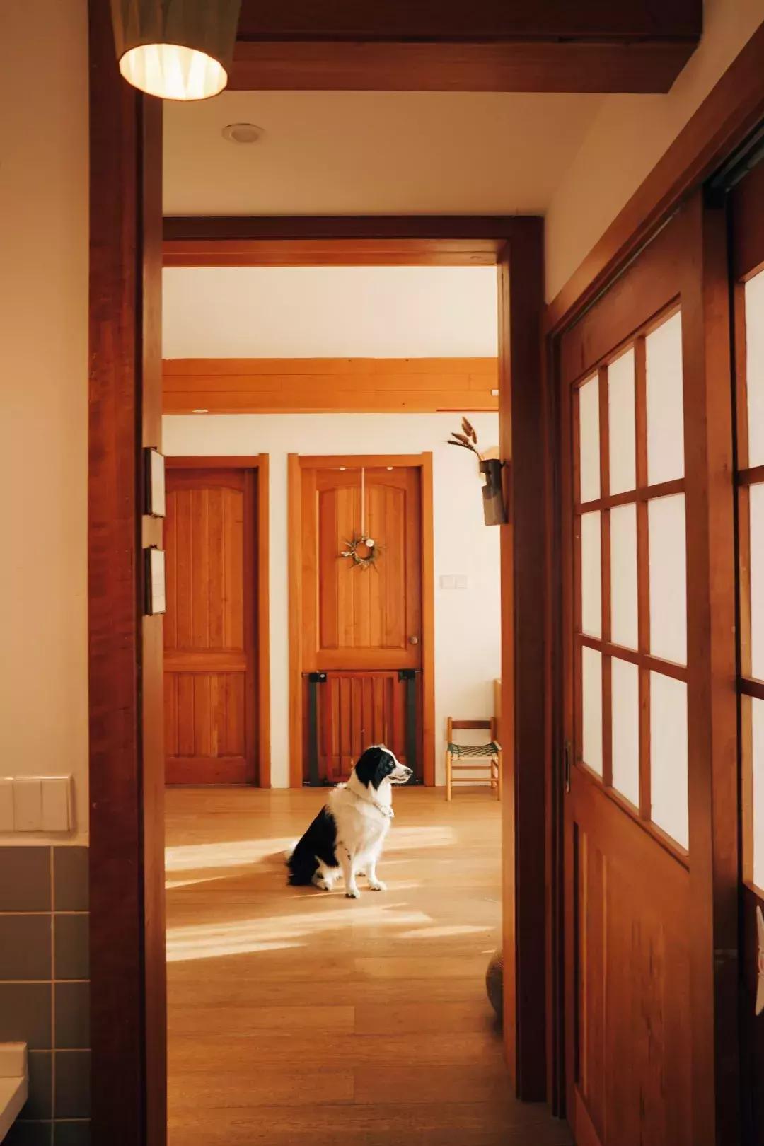 当囤货癖遇到末世,当收纳遇到断舍离