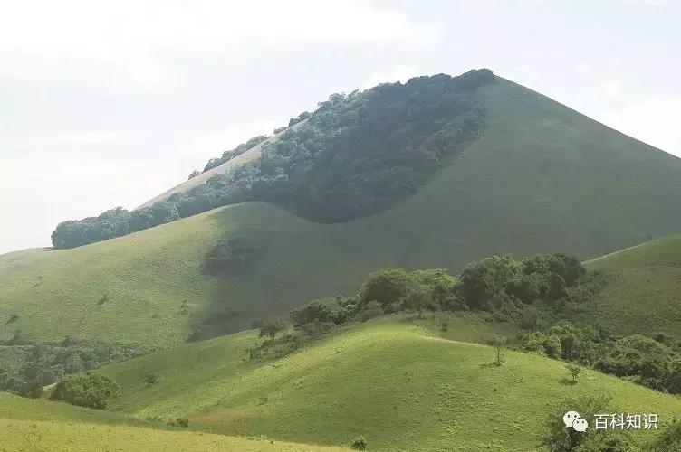 地球小卫士保护环境从我做起,地球环保小卫士