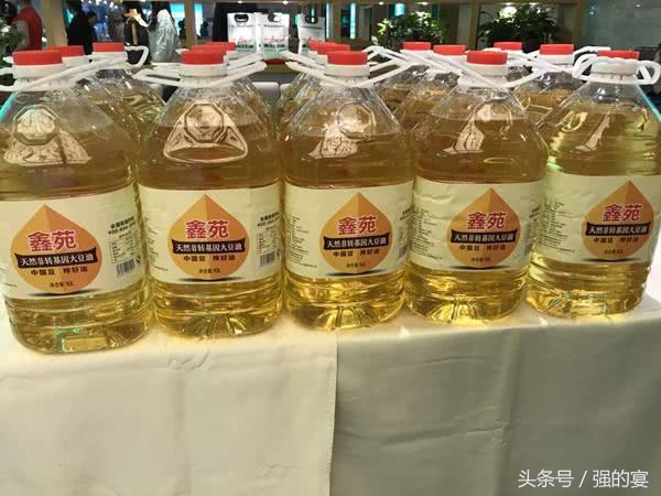 郑州黄河大鲤鱼,黄河大鲤鱼郑州