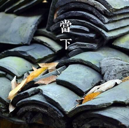 励志不怕挫折的诗句古诗,面对困难迎难而上的励志古诗句子