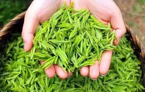 鑼朵腑缇庝汉鏄粈涔堣尪,鑼朵腑缇庝汉鐧芥閾堕拡鍥剧墖