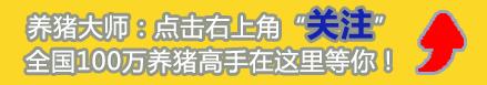 帮老母猪接生攻略,母猪人工助产后怎么消炎