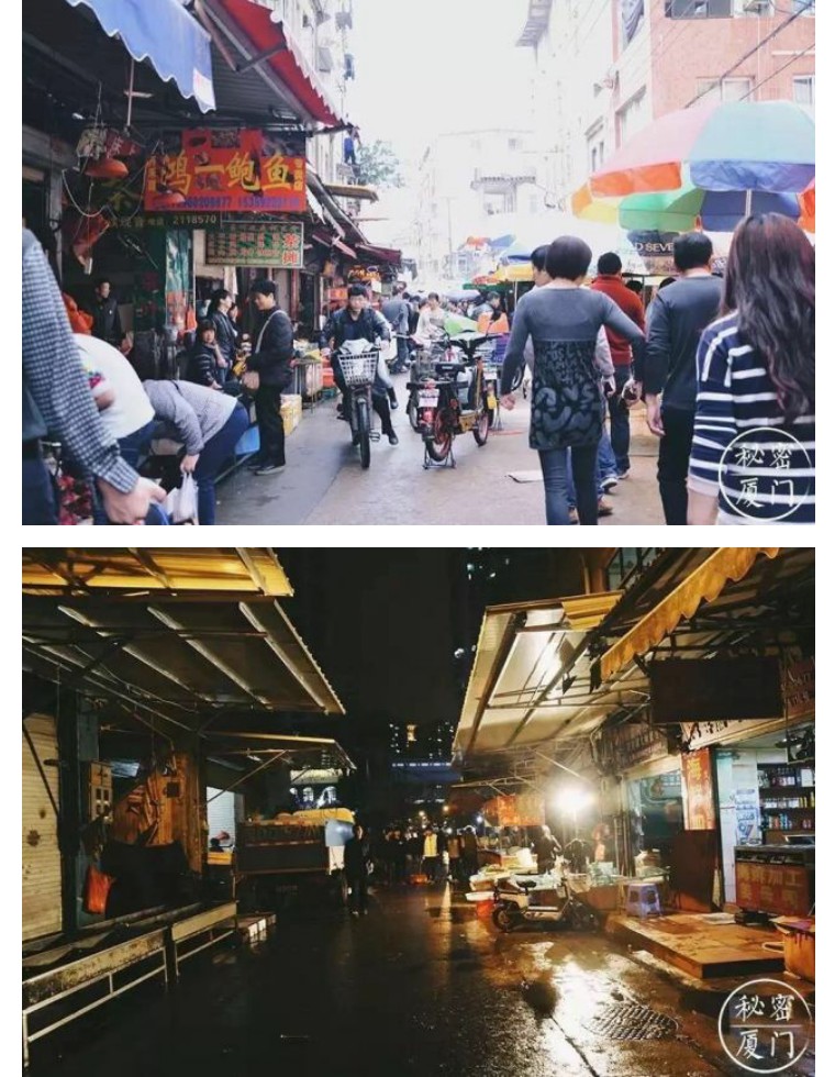 有了这份攻略,厦门攻略三天两晚不踩雷走心分享