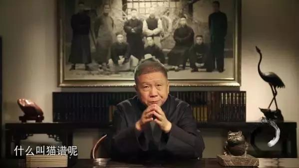 猫谱:因相成名,因名成谱《蓝毛毛找猫》24:猫出有名