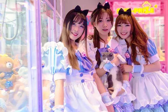 网传抓娃娃绝技大考核|攻略在手，天下娃娃我有！