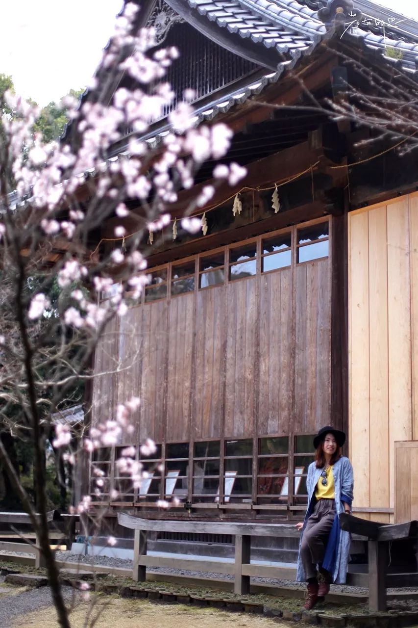 一次游轮之旅,一次悠闲惬意的美好旅行