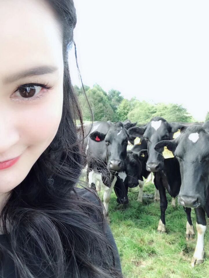 冉莹颖代言日本产品,冉莹颖央视女主持