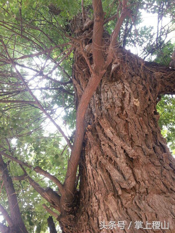 北朝壁画墓发现及考古始末,北朝考古博物馆纪录片