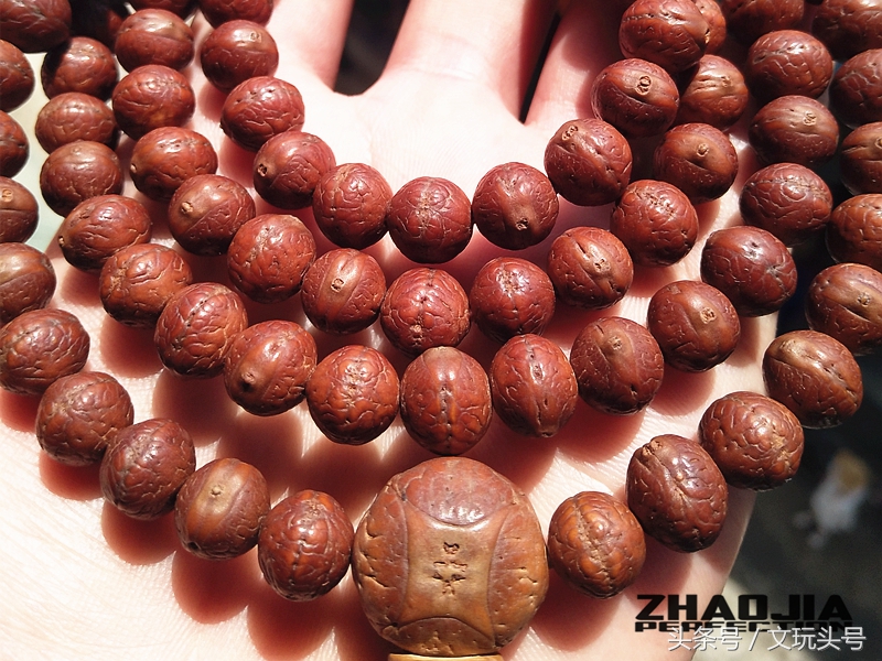 鱼嘴凤眼菩提属于什么档次的凤眼,凤眼菩提为什么越小越贵