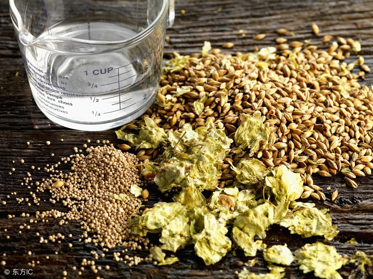 啤酒香味诱人全靠这种花！能健胃消食，还能减肥！全国都能种植！