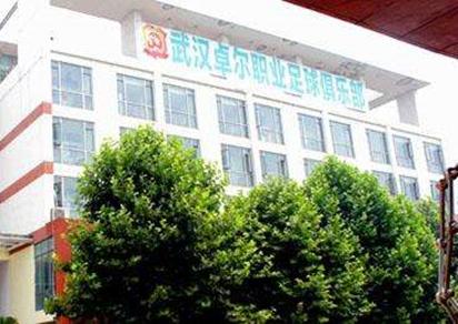 卓尔将投资26亿元建设武汉新主场,武汉卓尔要加大投入吗