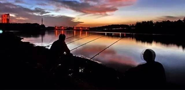 野钓雾化效果好的饵料,老钓手是如何抛竿