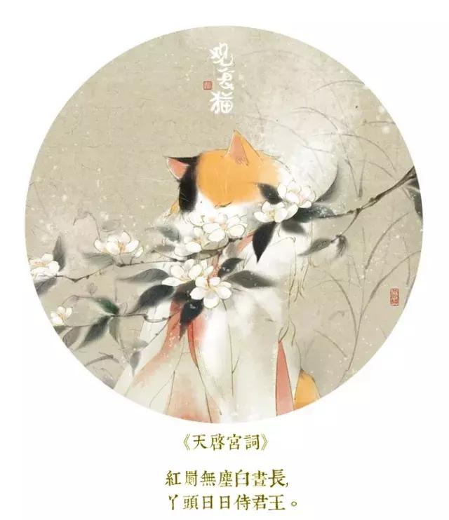 盘点常见的猫咪名字看有你家猫吗,猫咪名称大盘点