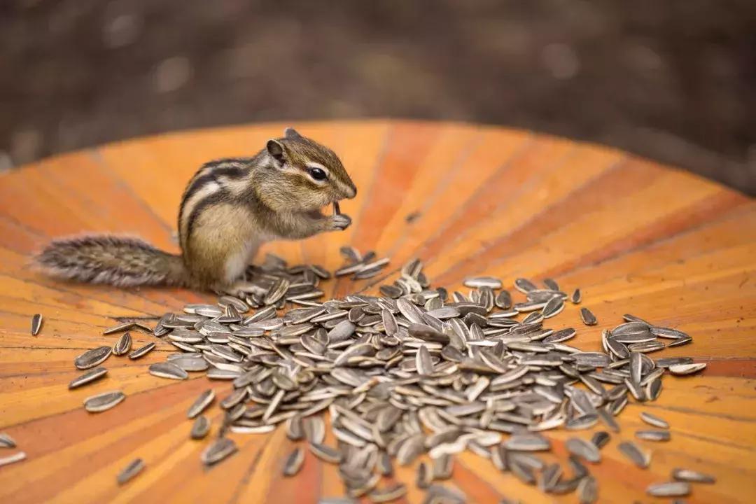 追星旅游记,追星大环线日记