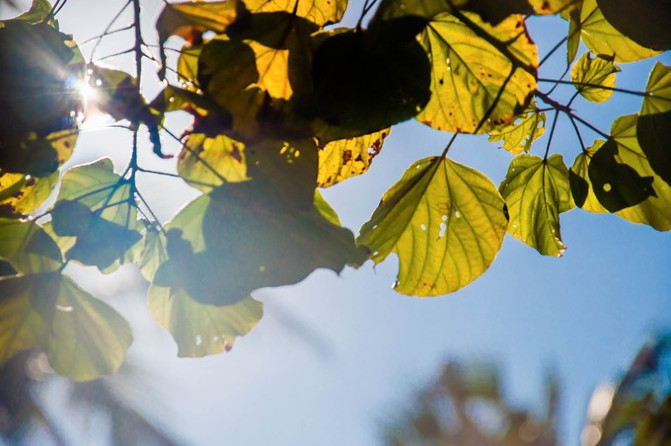 相约海之南歌曲,浪漫走天涯相约海之南