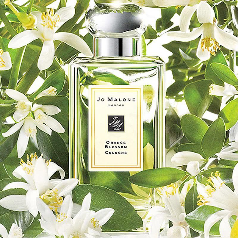 5款能提升女性气质和魅力的香水,适合女生春天使用的香水小众平价