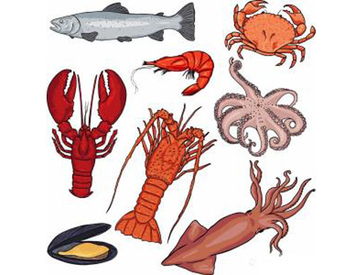 现在可以放心吃海鲜吗,中国可以放心吃海鲜吗