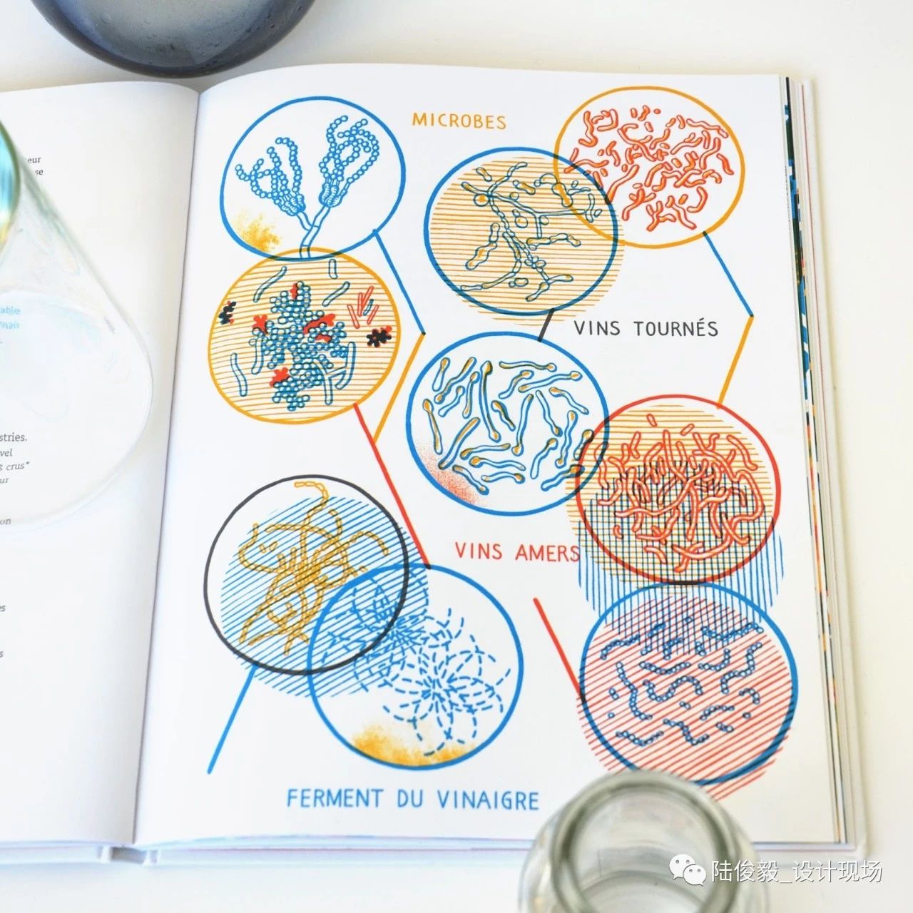 国际获奖26本绘本,2019年最佳绘本