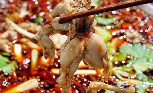 美蛙鱼头餐厅营销方案,第一家美蛙鱼