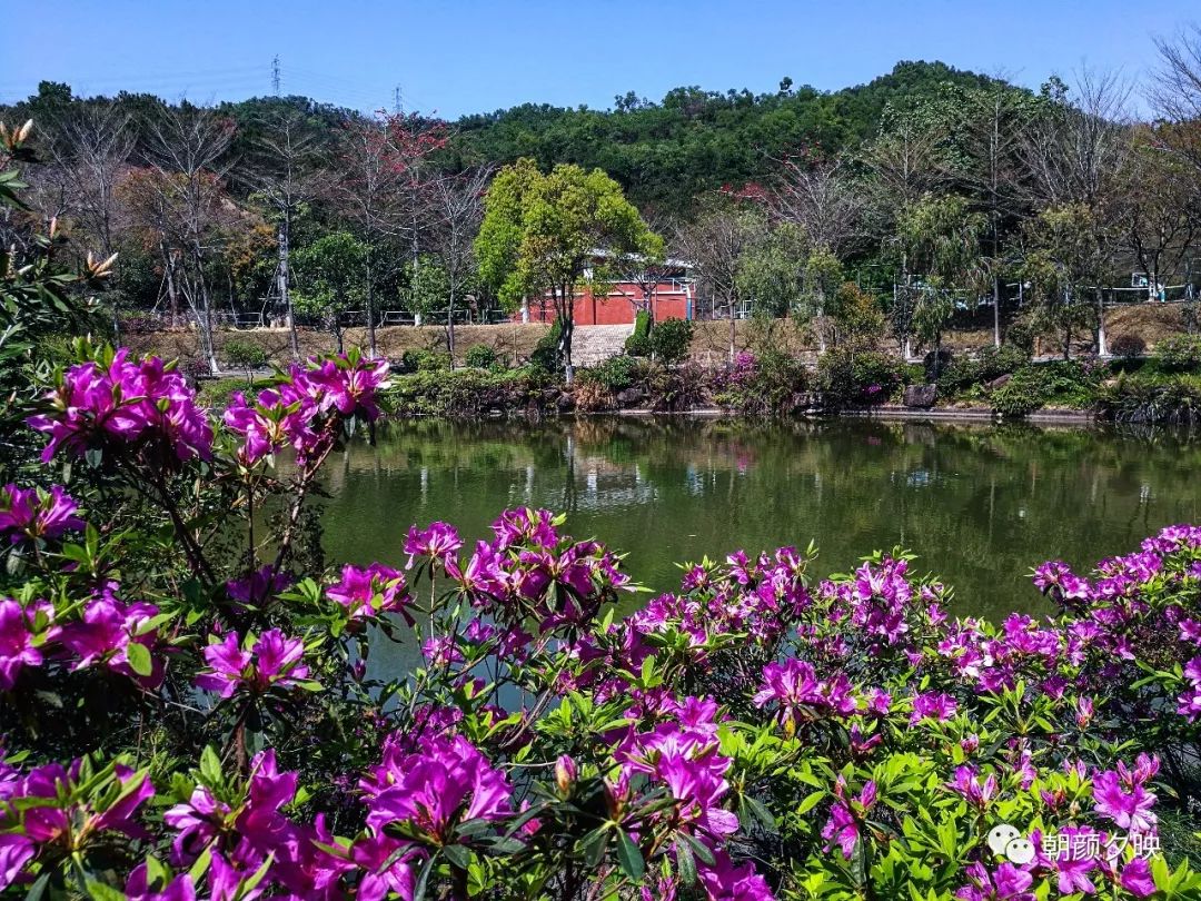 中山纪念中学100周年校庆,中山纪念中学80周年校庆