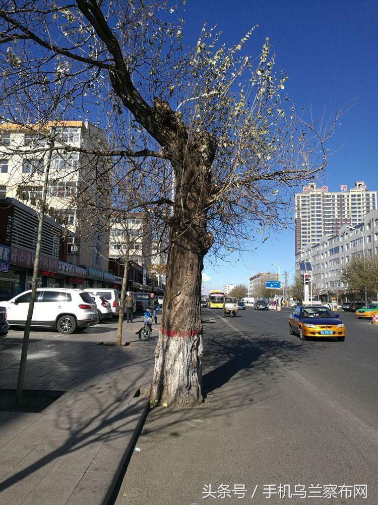 70年代的集宁,老集宁记忆