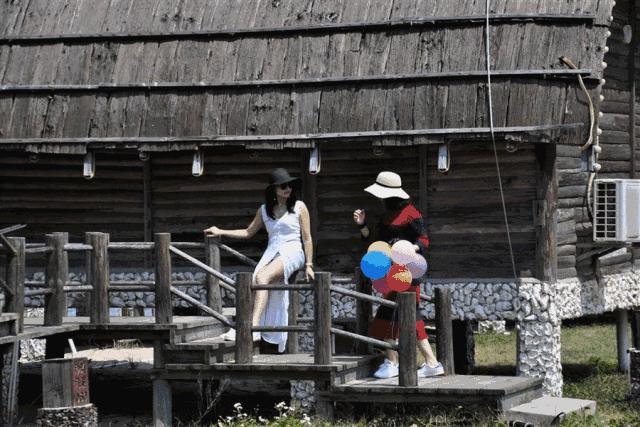 春风十里，不如花开万株！周末去哪？带你玩转特呈岛！