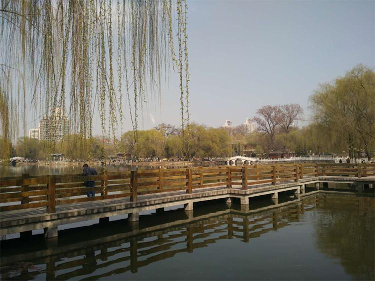 骑上共享单车去踏青高德地图带你玩转公园美景