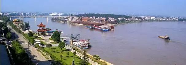 三年评先进,湖北表扬的10个县